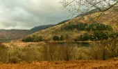  A loch surrounded by hills with bracken and forestry on the hillside