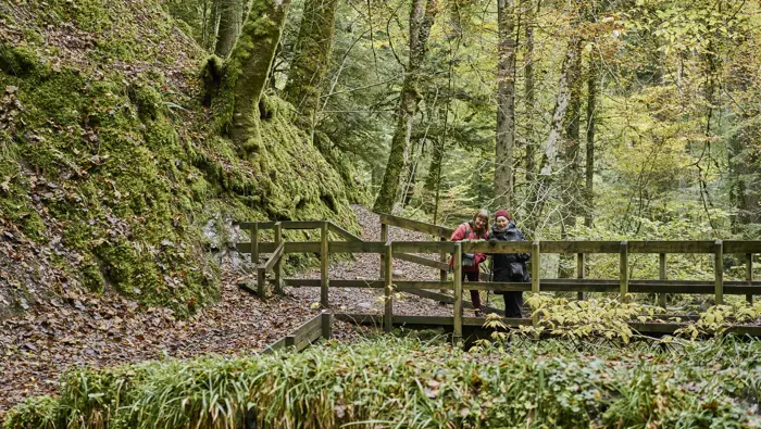 Reeling Walk Reelig Glen Forest Visitor Guide | FLS