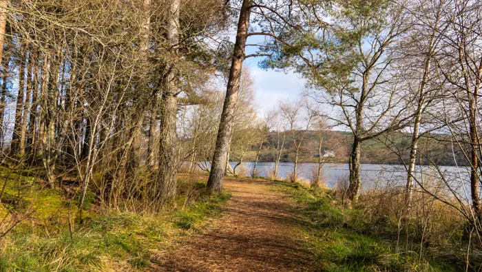 Path with trees on one side and a loch on the other.