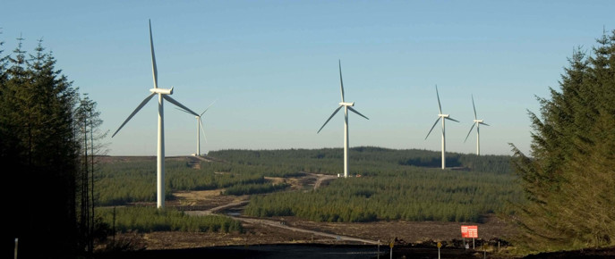 Wind turbines set within forest.