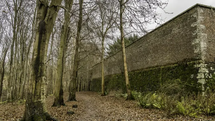 A leaf lined path in the forest next to an old brick building