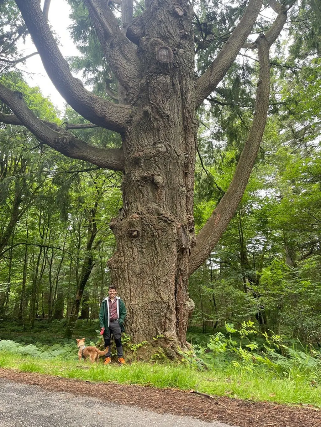 Modern Apprentice next to tree.