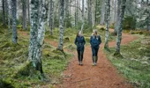 Two young women, dressed in blue jackets, walk together on gravel path through forest of tall fir trees, near Plodda Falls, Glen Affric