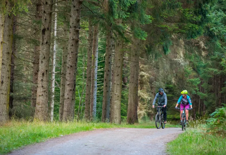 Man and woman on mountain bikes ride on tree lined cycle path, Balnain, near Loch Ness