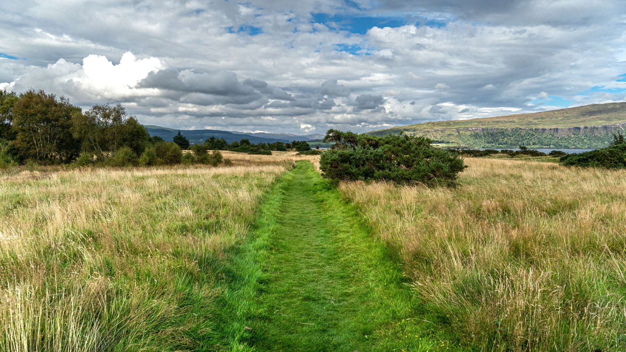  A grassy walk with islands in the background
