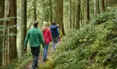 Man, woman, young boy and girl walk along woodland trail , Benmore forest, near Dunoon