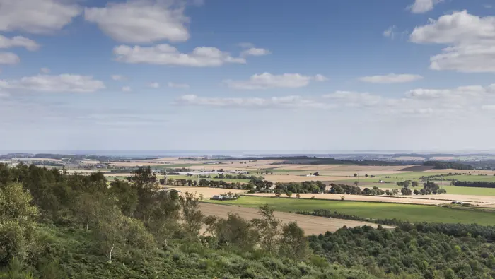 The view from Balkello Forest in Tay, with trees in the foreground and fields in the distance.
