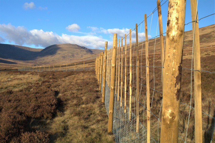 Wooden fence in a glen with hills behind