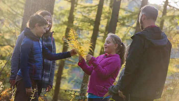 Family with child holding a fern in a forest.