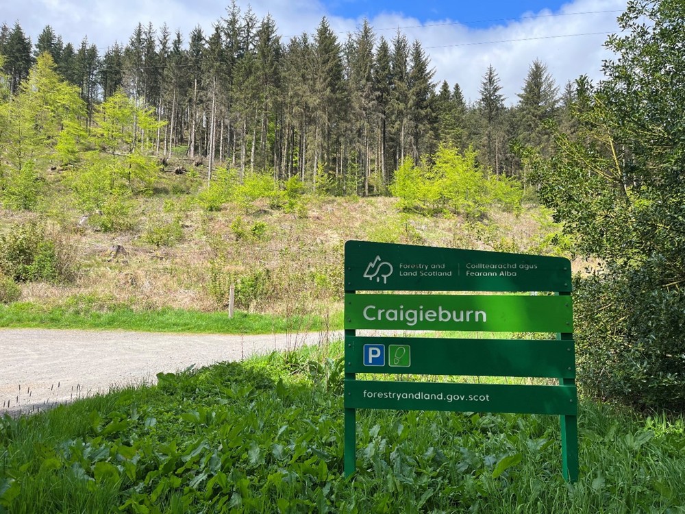 Photograph of a mixed wood forest, with the Forestry and Land Scotland sign for Craigieburn in the foreground