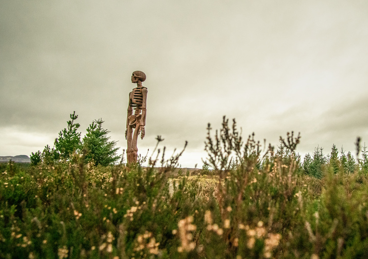 A metal skeleton statue overlooking a glen