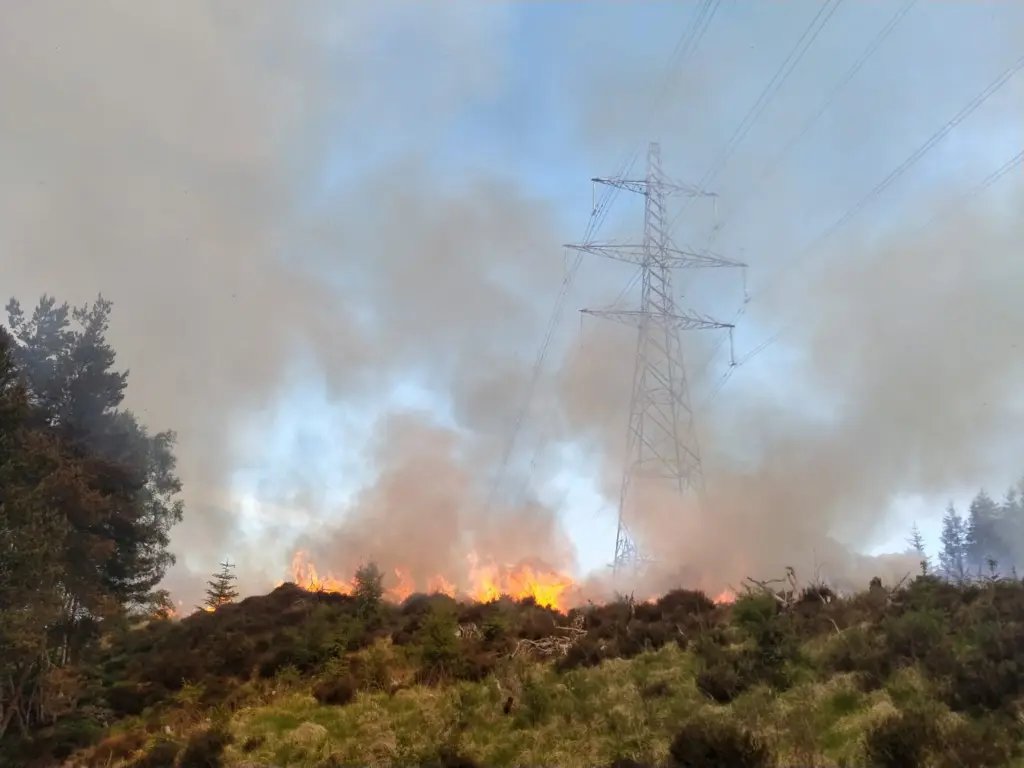 A wildfire burns. Smoke fills the sky, a pylon is visible in the background and there are trees to either side.