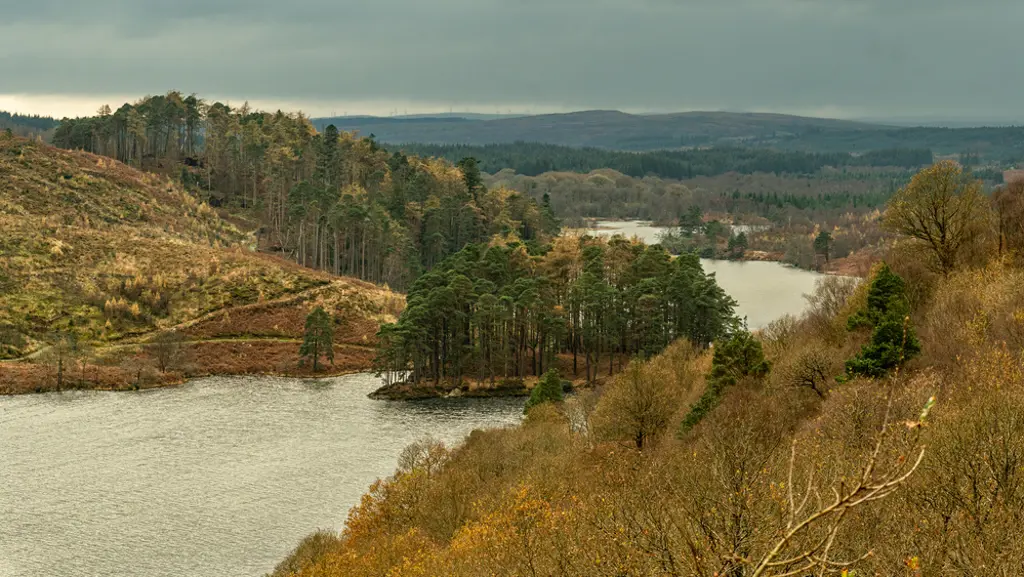 An island in a river with trees and hills in autumn.
