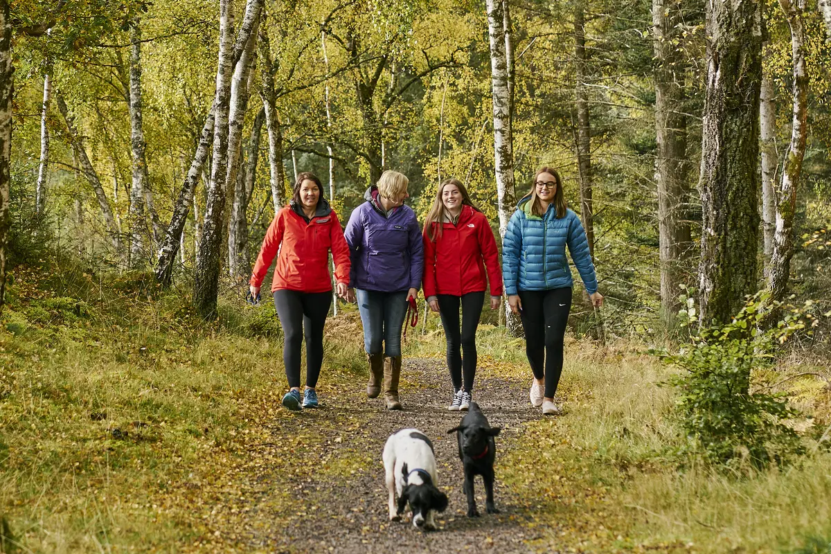 Four women walking along a woodland trail with two dogs