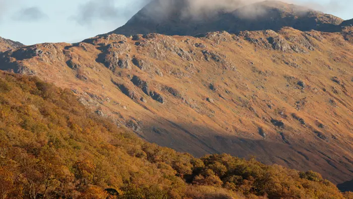 Sgùrr Dhomhnuill and Ariundle Oakwoods at Dawn.