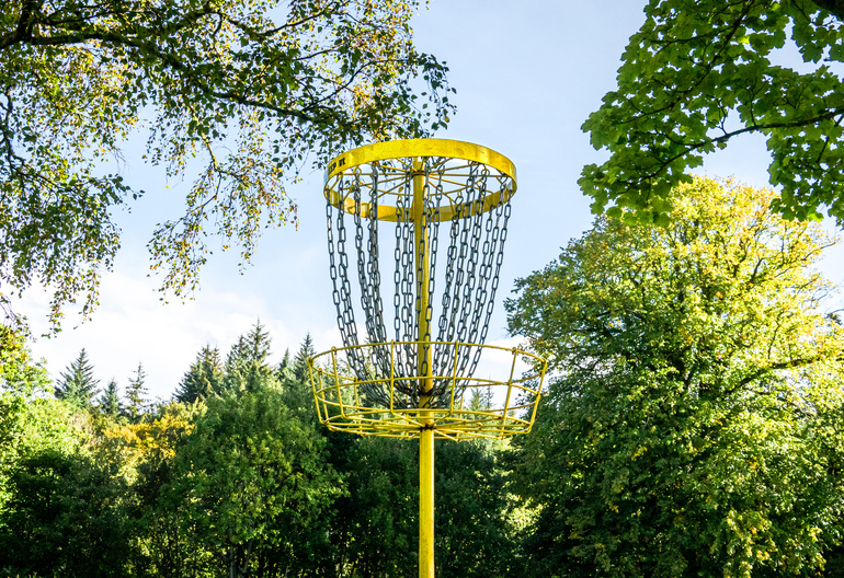 Disk Golf hole in a mixed broadleaf forest 