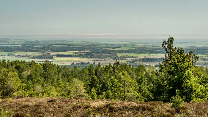 Looking from a hill viewpoint over heather and trees to fields.