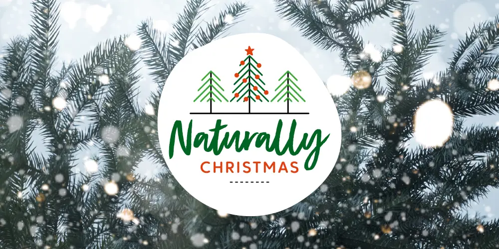 'Naturally Christmas' written over a photo of a Christmas tree branch