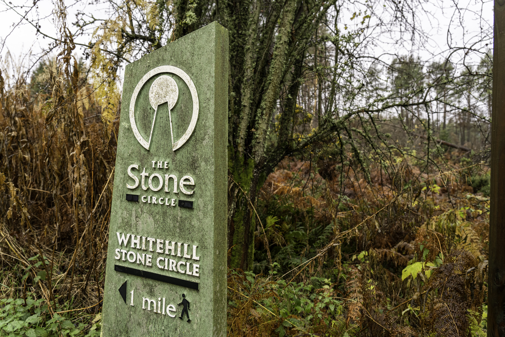A green stone with the words 'The stone circle, whitehill stone circle, 1 mile' on it