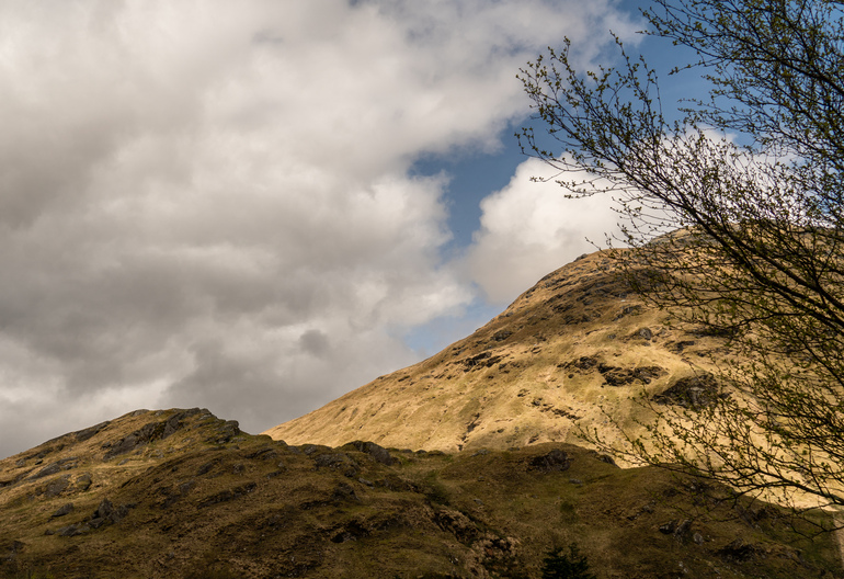 A hillside with trees in front 