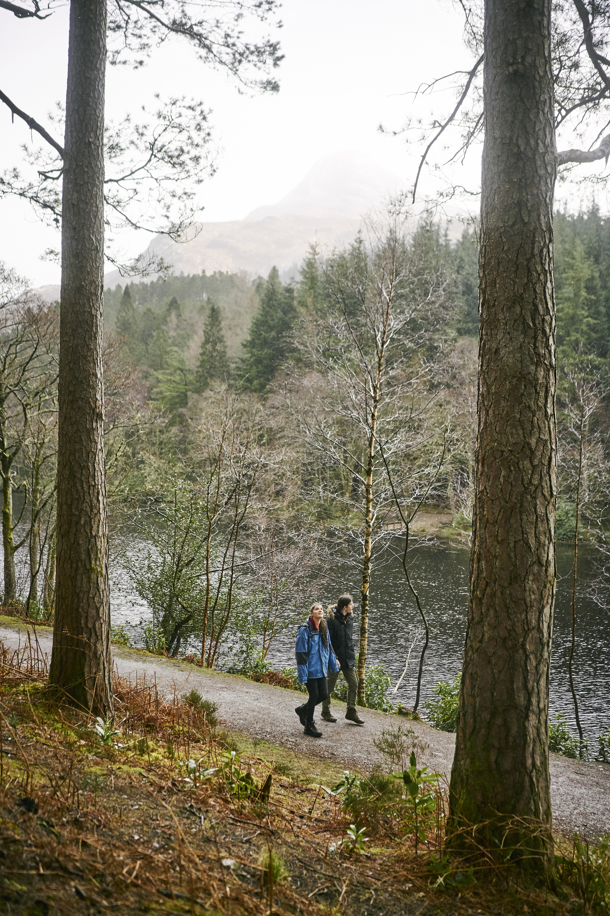 oung man in black jacket and young woman in blue jacket walking on path along banks of Glencoe Lochan after the rain, with tall conifers flanking the path and misty mountain range in the background