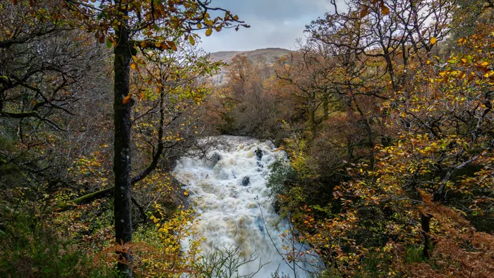 A waterfall surrounded by autumn trees
