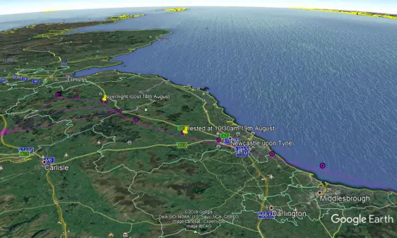 Satellite view of north east England with osprey flightpath marked