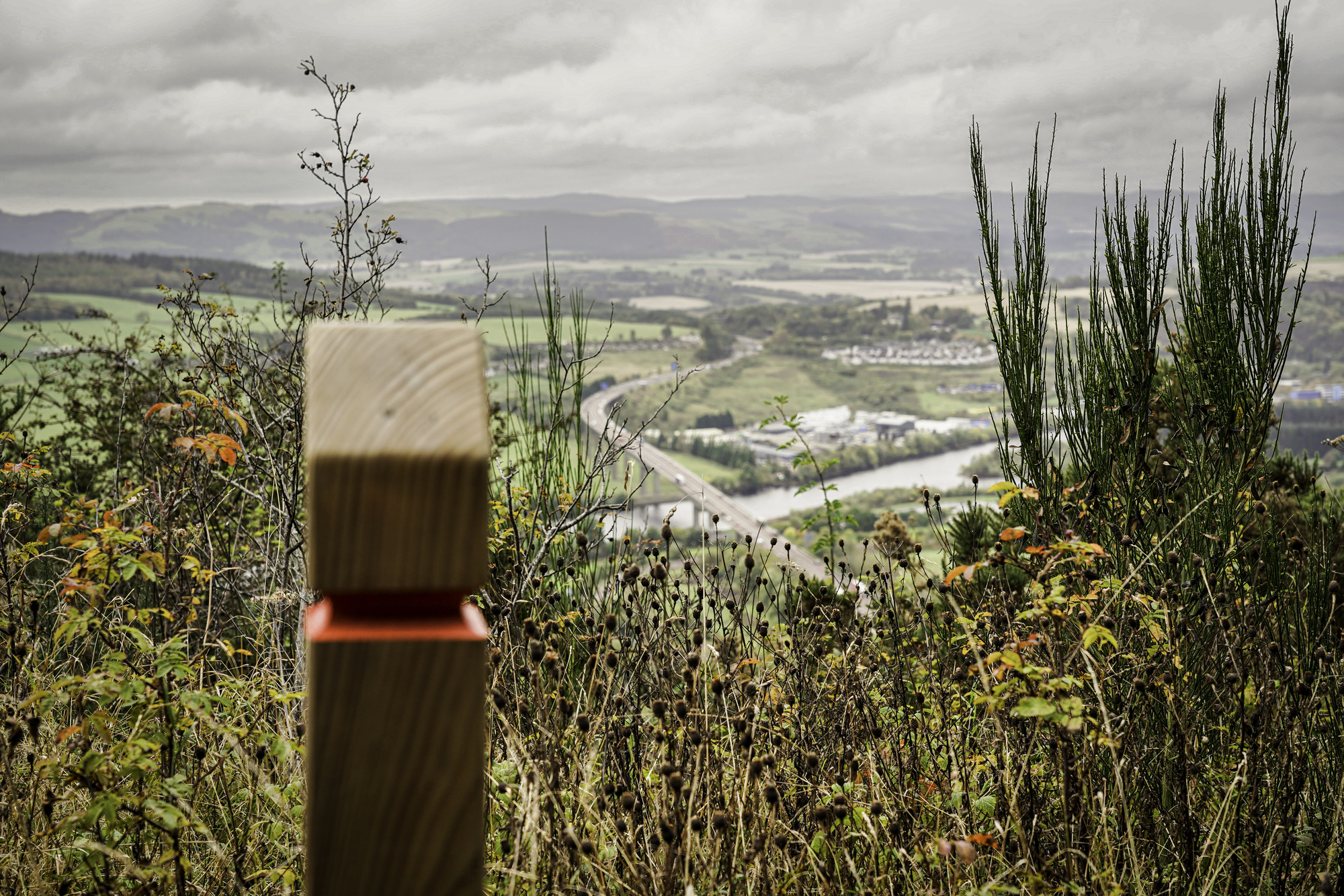 A view over a city and river with a wooden trail marker with red