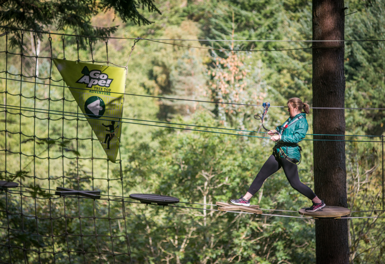 Glentress Forestry and Land Scotland