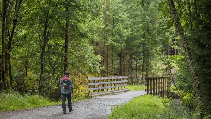 Male walker strides towards bridge, Leanachan Forest, near Fort William
