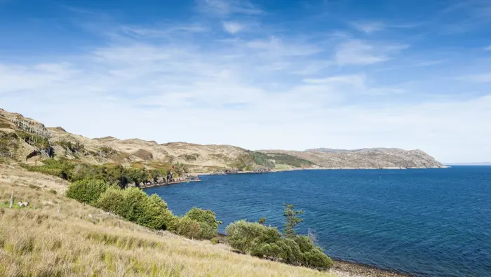 Coastline with grass and shrubs.