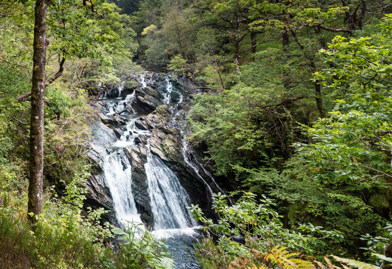 A waterfall in a lush woodland