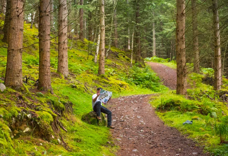 Man sits on boulder on woodland trail and consults informational leaflet, Craigmonie Forest, near Drumnadrochit