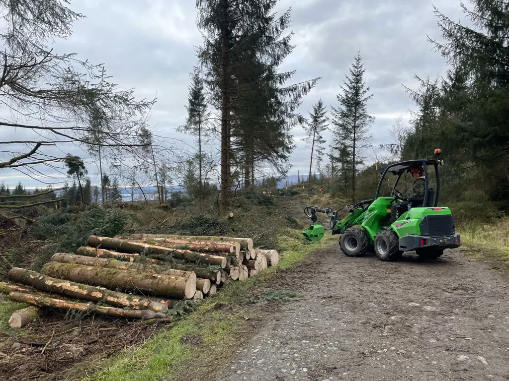 Woman operating green forestry machine next to a log pile.