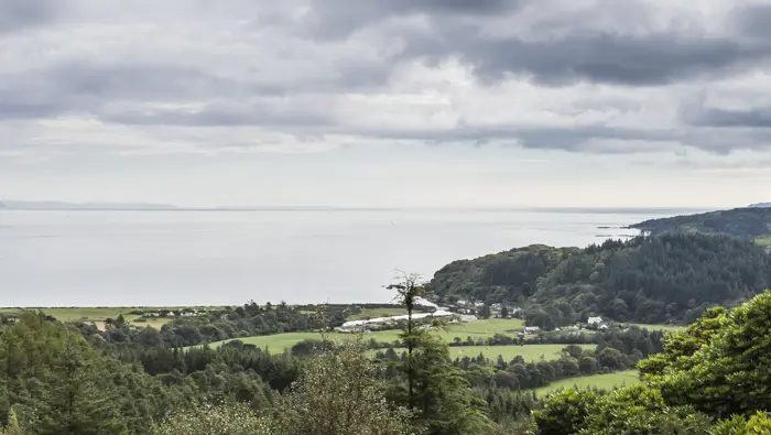 Areal view of the coast with pine forests and open fields