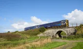 A blue train passes above a stone archway bridge alongside grass-lined pathways