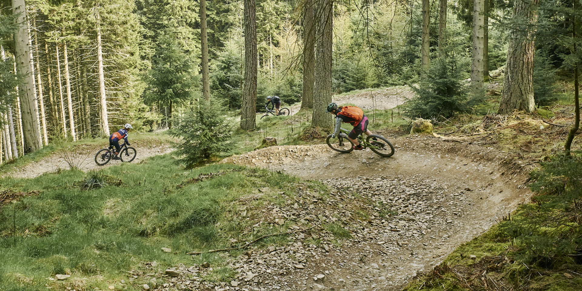 Glentress Forestry and Land Scotland