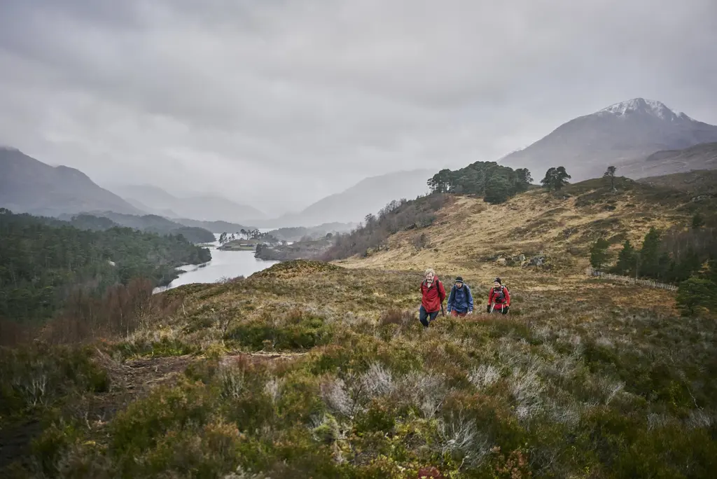 Three walkers in a glen with a loch and hills in the distance and heather in the foreground.