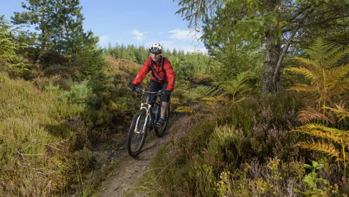 Person with red jacket on mountain bike trail.
