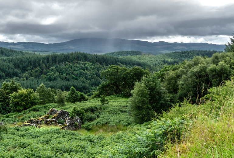 Stone ruins overlooking a forest
