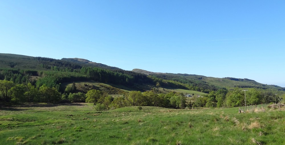 Green fields in the foreground with forest on the hillside in the background.