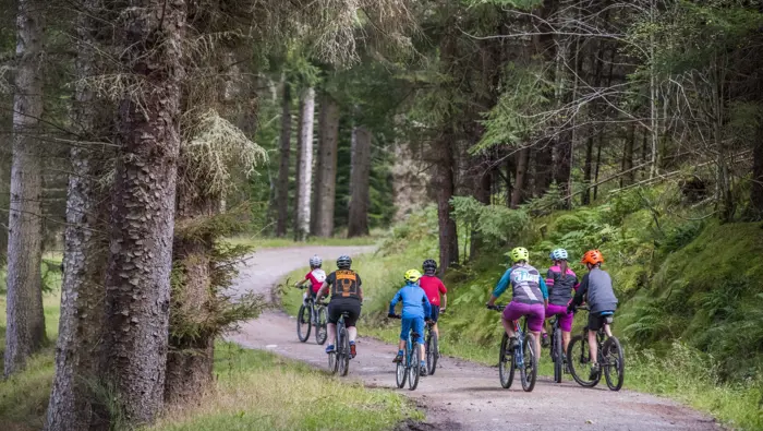 Large group of mountain bikers on a forest road.
