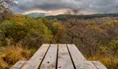 A picnic table overlooking a autumn canopy 