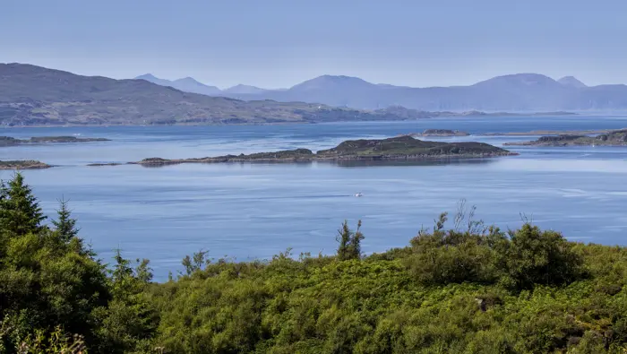 Coastal scene with trees in the foreground and hills in the distance.