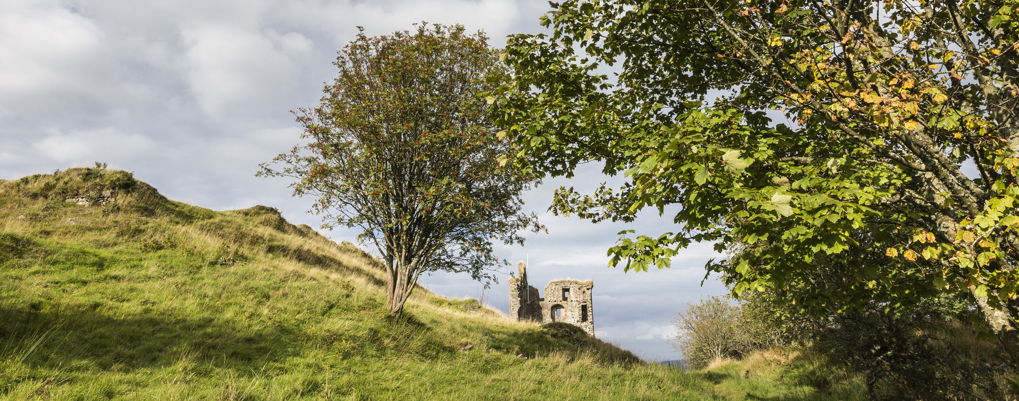 A castle nestled between trees on a meadowed hillside