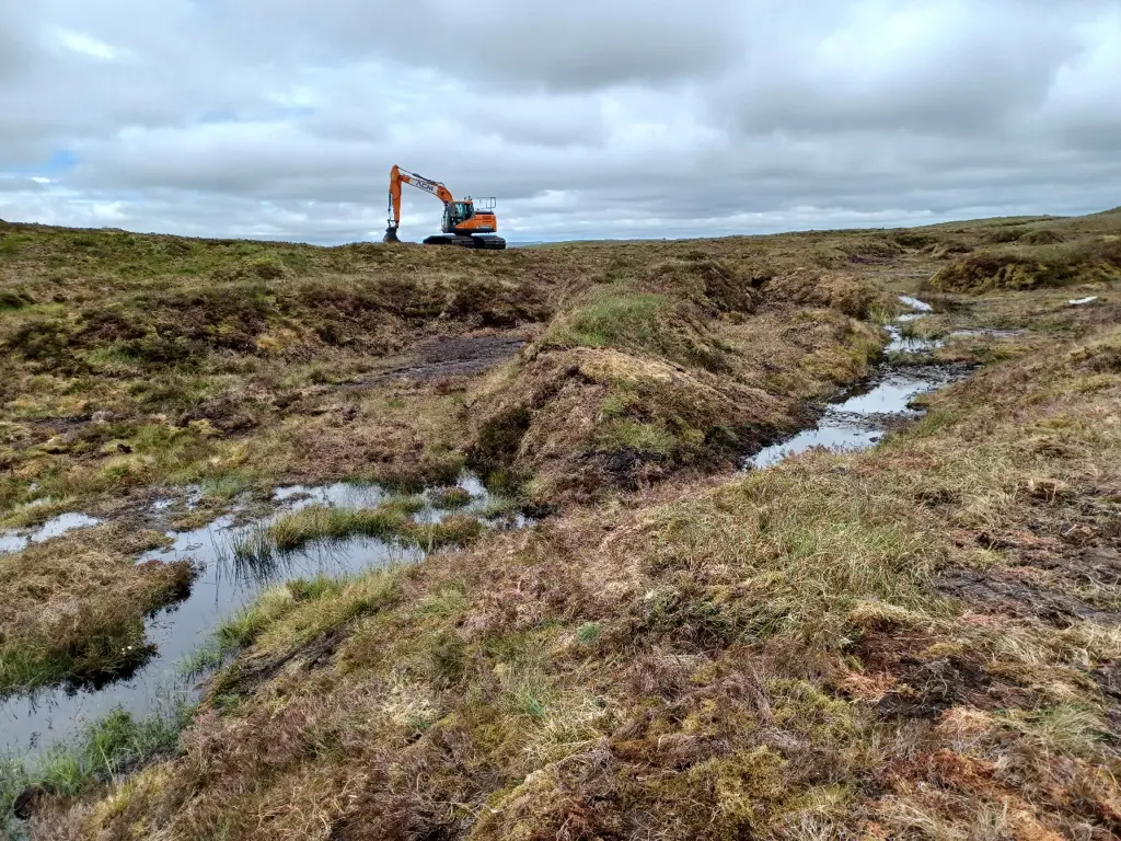 Orange machinery on peatland restoration site.