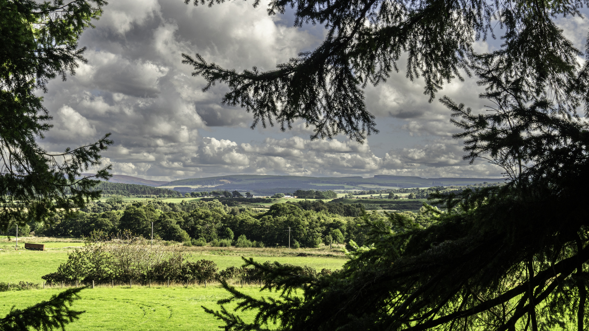 View over a valley through trees