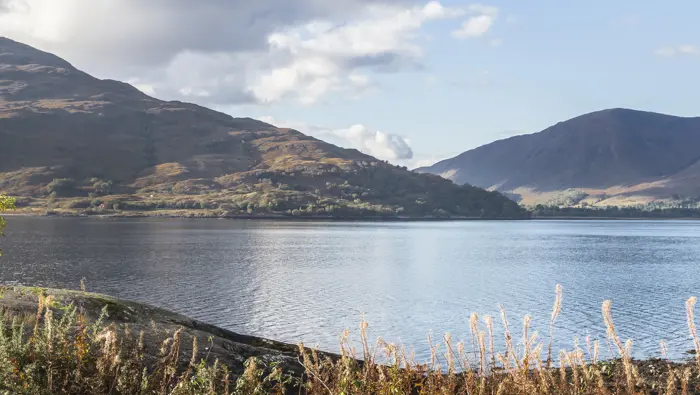 The rocky shoreline of a calm loch with trees in the fore ground and mountains in the back ground