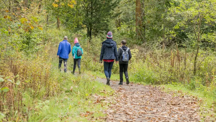 Family walking along a path in woodland.