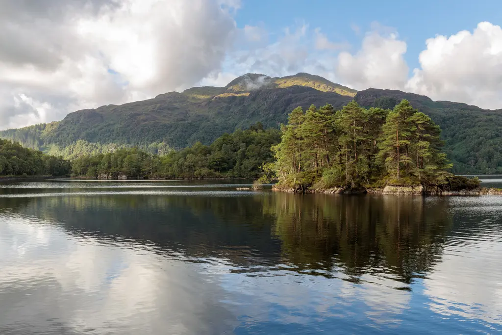 Loch Katrine. Loch with an island of trees in the middle and a forested hill on the other side of the loch.